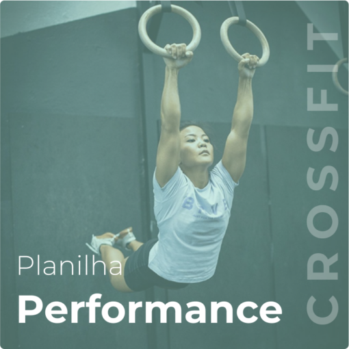 Planilha Performance